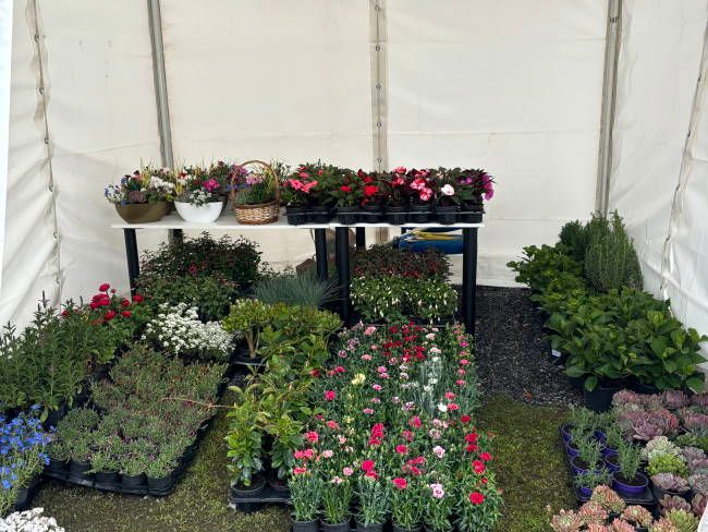 26. Proljetni međunarodni bjelovarski sajam